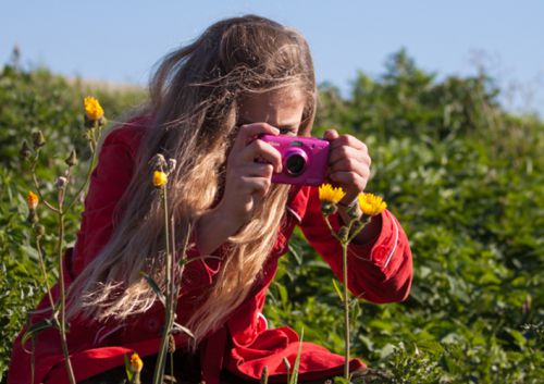 Over de Kraanvogel Over de Kraanvogel